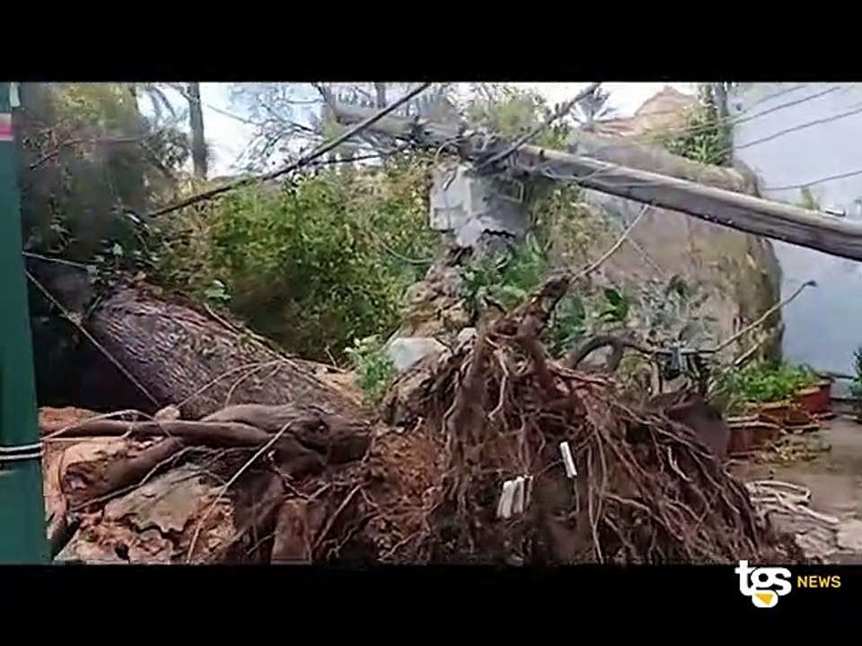 Maltempo, circa 50 interventi dei vigili del fuoco a Palermo e provincia