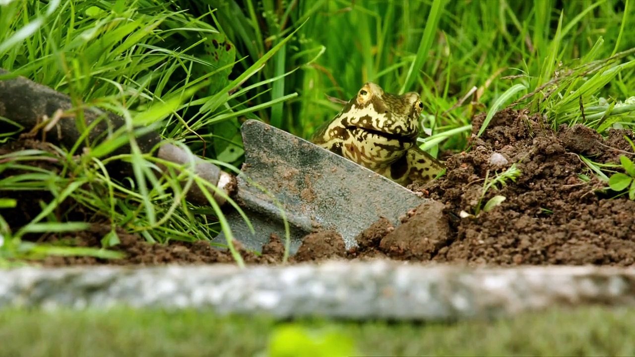 Eine lausige Hexe Staffel 1 Folge 4