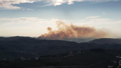 Ormanlık alanda çıkan yangın kontrol altına alındı