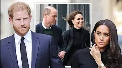 Il principe Harry "vive in una bolla" e "imparerà nel modo più duro" man mano che la popolarità prec