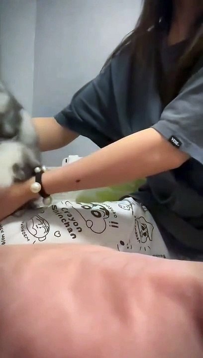 FUNNY CAT 2023 (1)