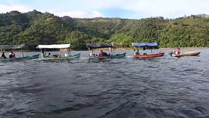 Cormoranes amenazan la pesca en la mayor represa de Honduras