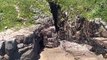 Homem morre ao cair de altura de 15 metros em trilha em Florianópolis