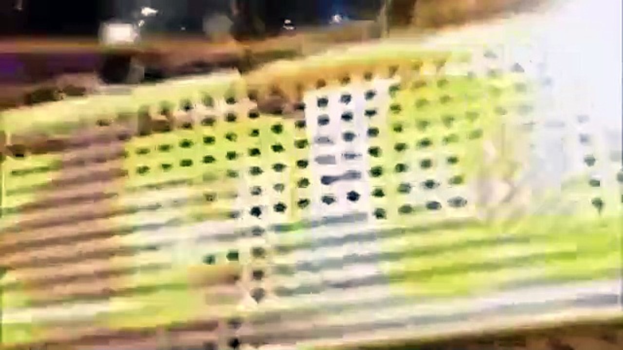 Celebrity Name Game - Se1 - Ep28 HD Watch