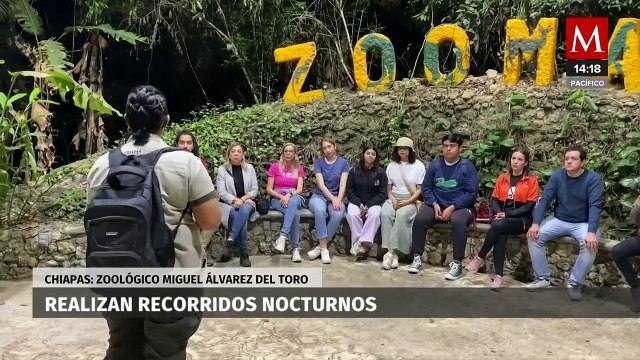En Chiapas, Zoológico Miguel Álvarez del Toro ofrece recorridos nocturnos