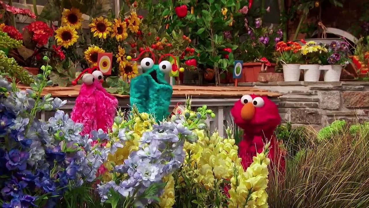 Sesame Street - Se48 - Ep05 HD Watch
