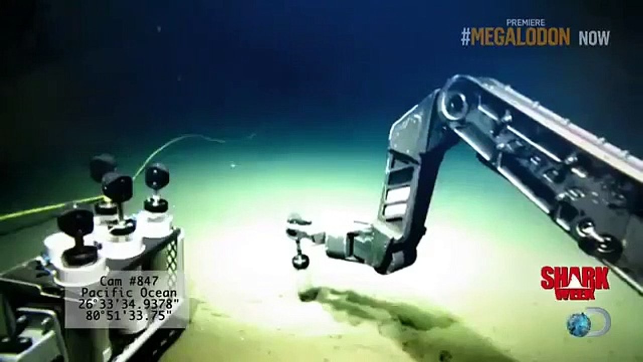 Shark Week - Se26 - Ep02 HD Watch