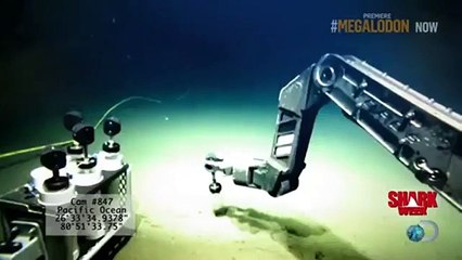 Shark Week - Se26 - Ep01 HD Watch