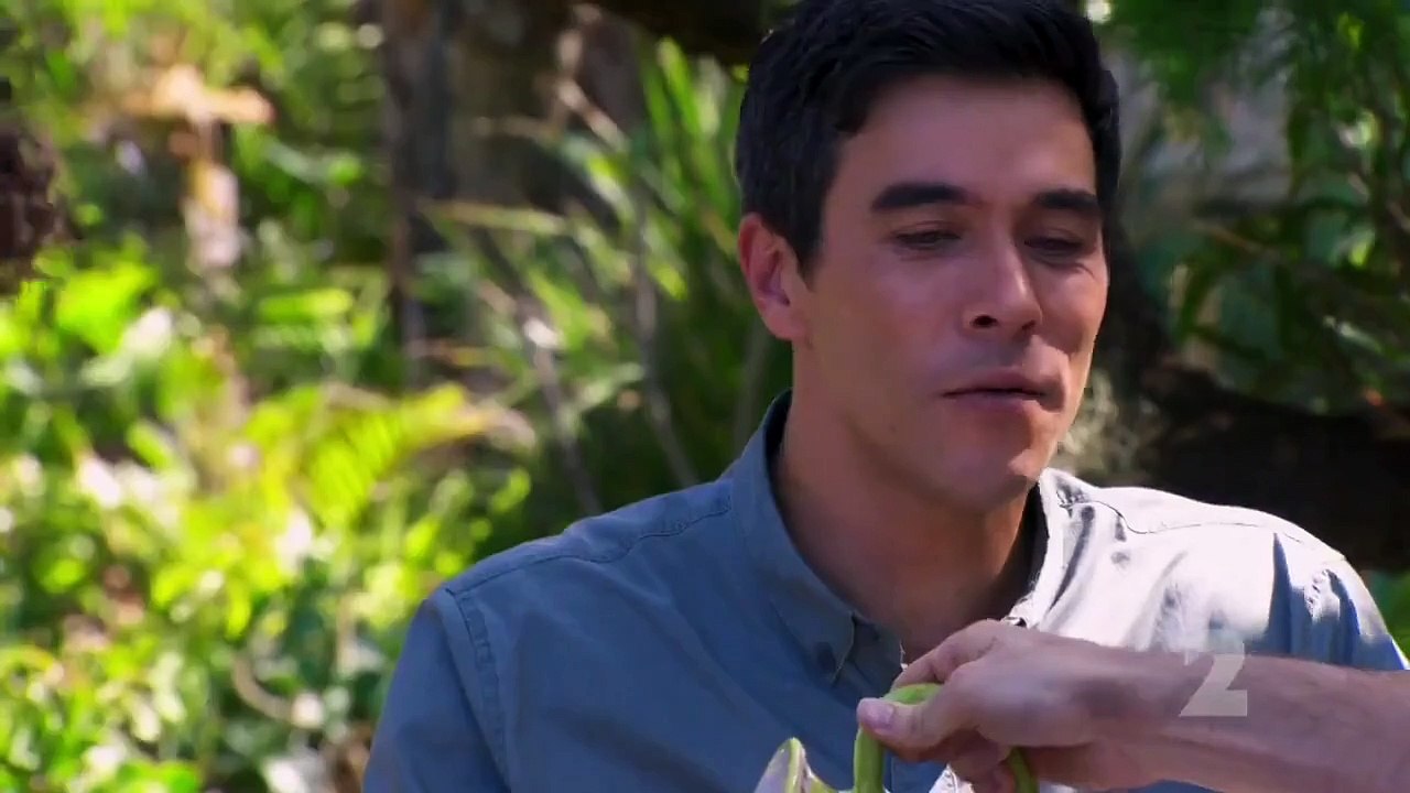 Home and Away - Se29 - Ep93 HD Watch