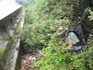 Dans les ronces, sous la pluie, une nationale, La Franca