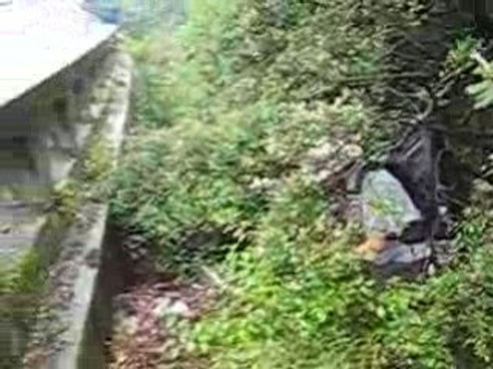 Dans les ronces, sous la pluie, une nationale, La Franca
