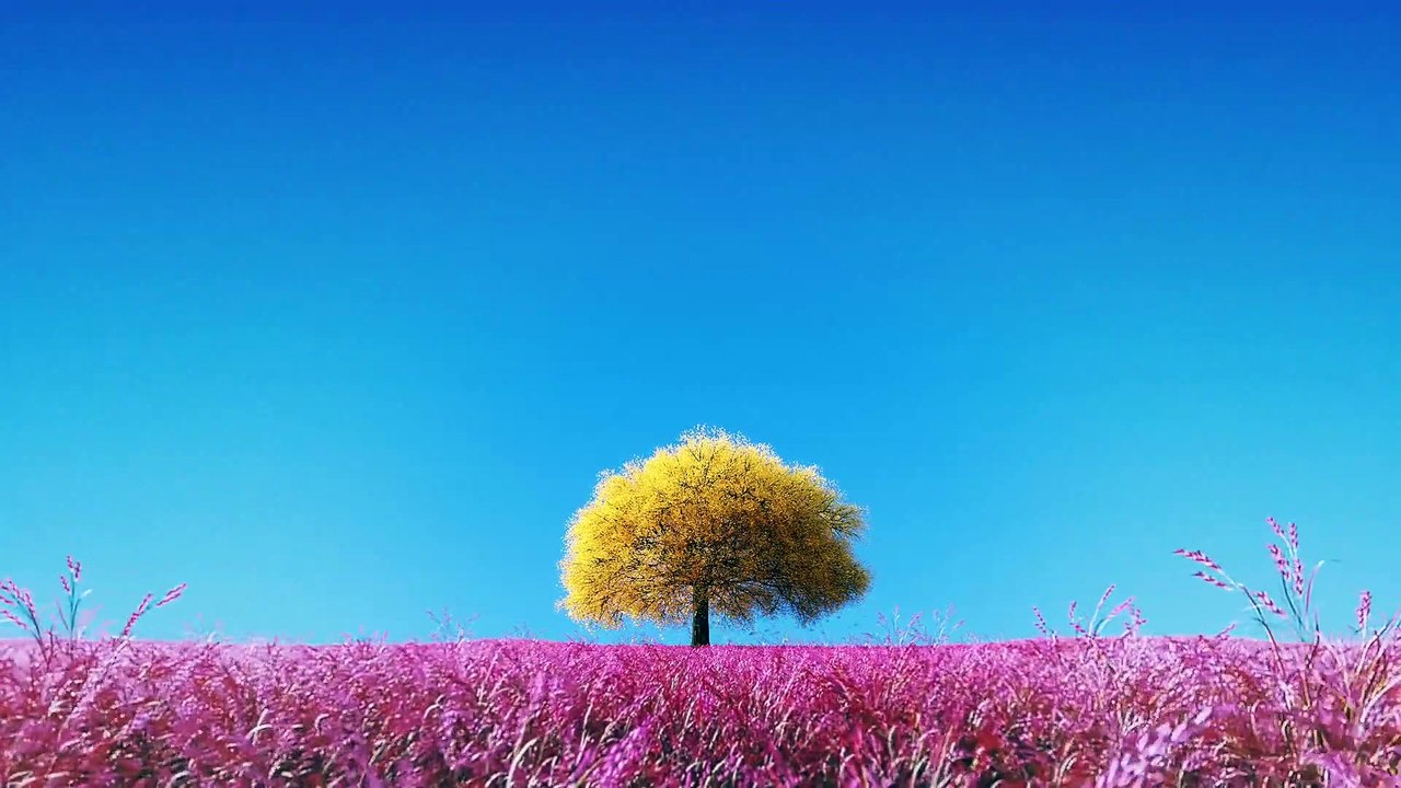 The King - Eternal Monarch - Se1 - Ep12 HD Watch