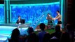 8 Out of 10 Cats Does Countdown - Ep33 HD Watch