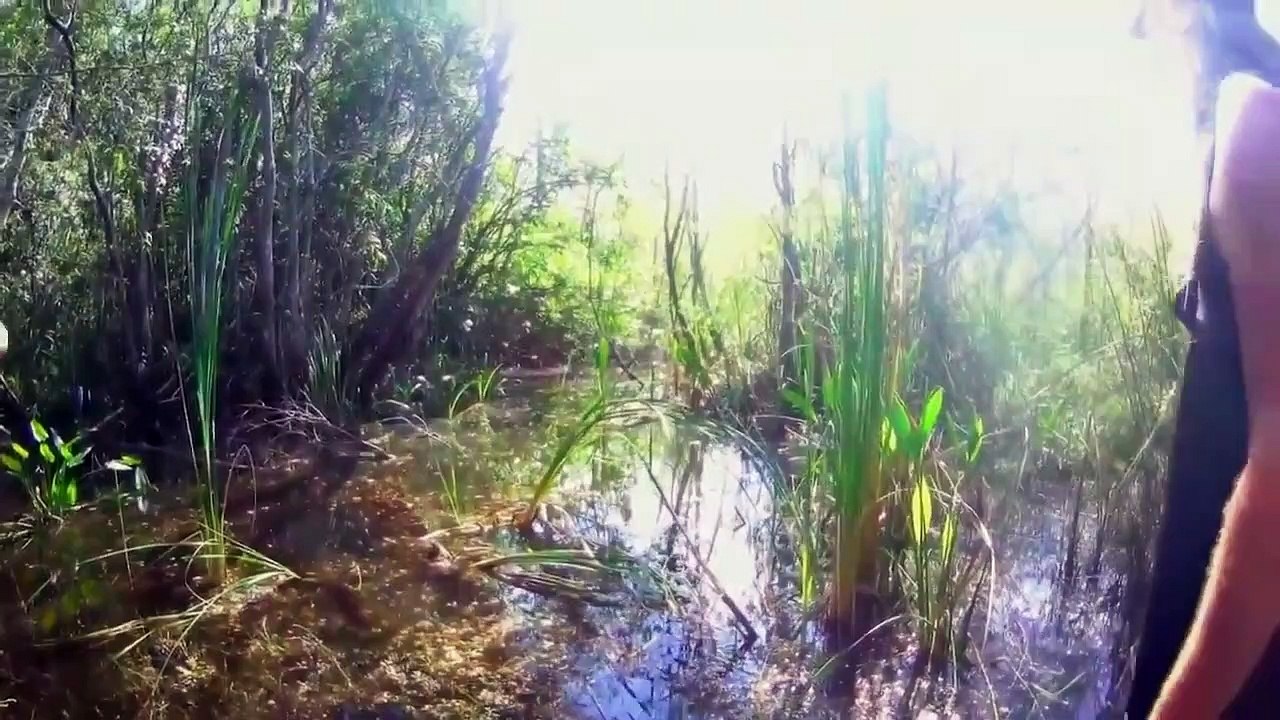 Guardians of the Glades - Se2 - Ep04 - Choke Point HD Watch