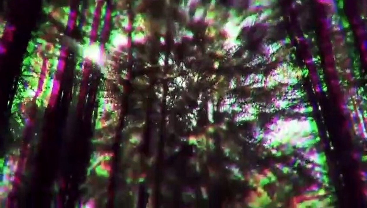 I Was Prey - Se3 - Ep08 - Night Trr HD Watch