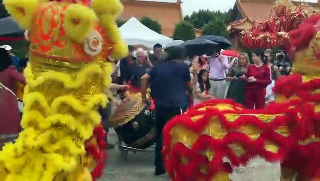 Lion dancers perform for the Lunar New Year | January 22, 2023 | Illawarra Mercury
