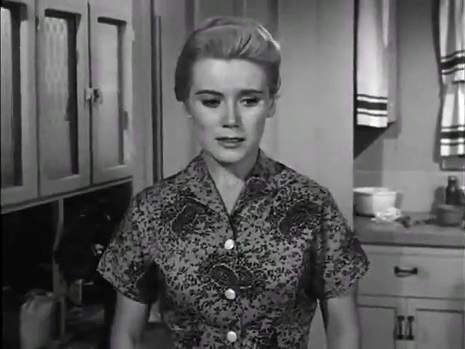 The Real McCoys - Se3 - Ep03 HD Watch