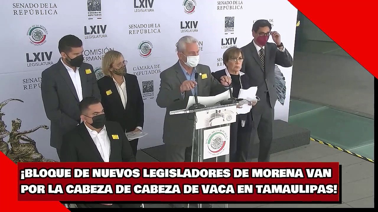 ¡BLOQUE DE NUEVOS LEGISLADORES DE MORENA VAN POR LA CABEZA DE CABEZA DE VACA EN TAMAULIPAS!