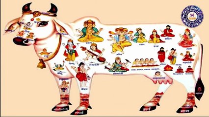 अच्छा समय आने से पहले मिलते हैं ये 7 संकेत, साक्षात महालक्ष्मी आती हैं घर में