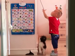 funny cute cats reaction