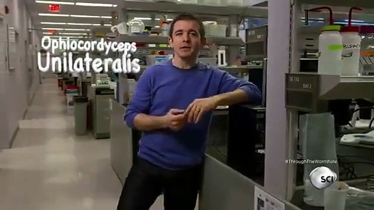 Through the Wormhole - Se5 - Ep06 HD Watch