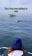 Orca Makes Strange Sounds at Whale Watchers