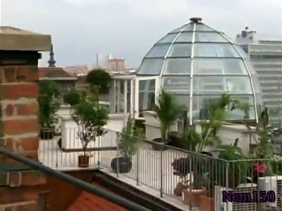 Rex - A Cop's Best Friend - Se2 - Ep14 HD Watch