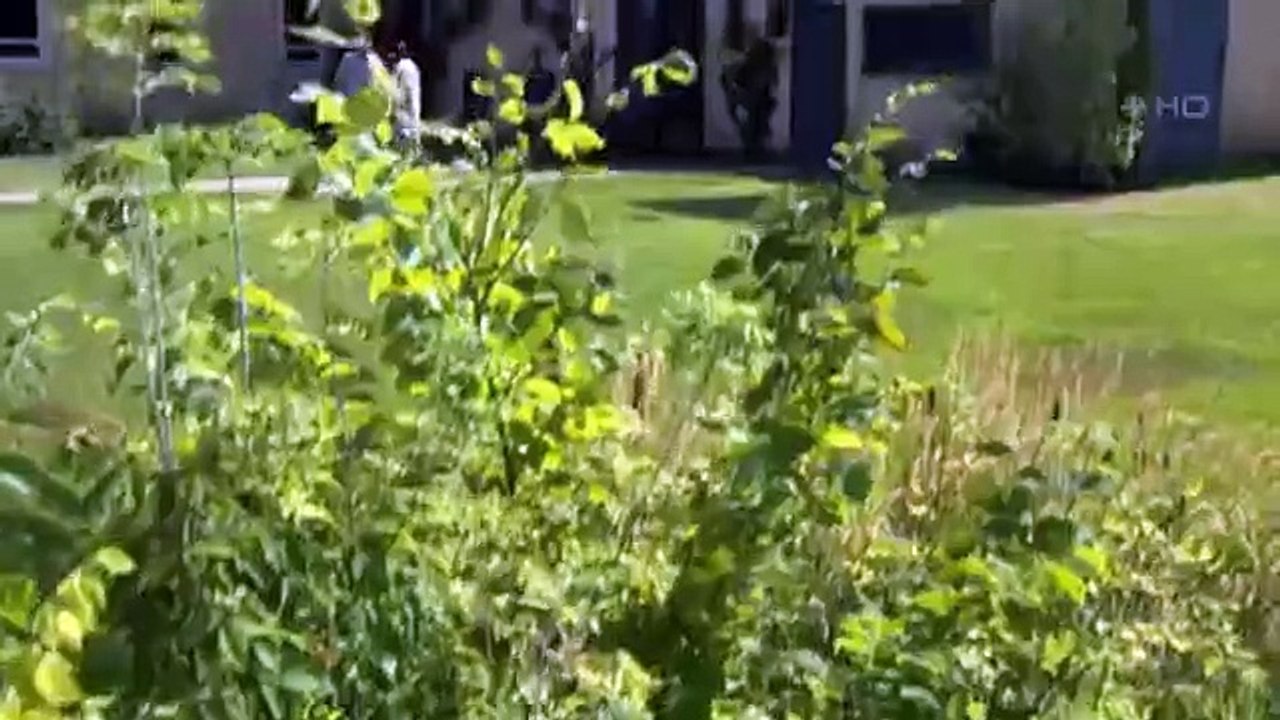 Little Mosque on the Prairie - Se4 - Ep02 HD Watch