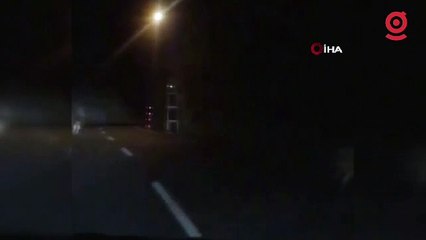 Anayola inen kurt sürüsü görüntülendi