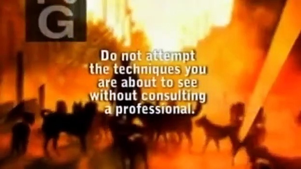 Dog Whisperer with Cesar Millan - Se4 - Ep29 HD Watch