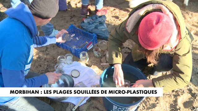Pollution : les plages du nord-ouest de la France souillées par des microbilles de plastique