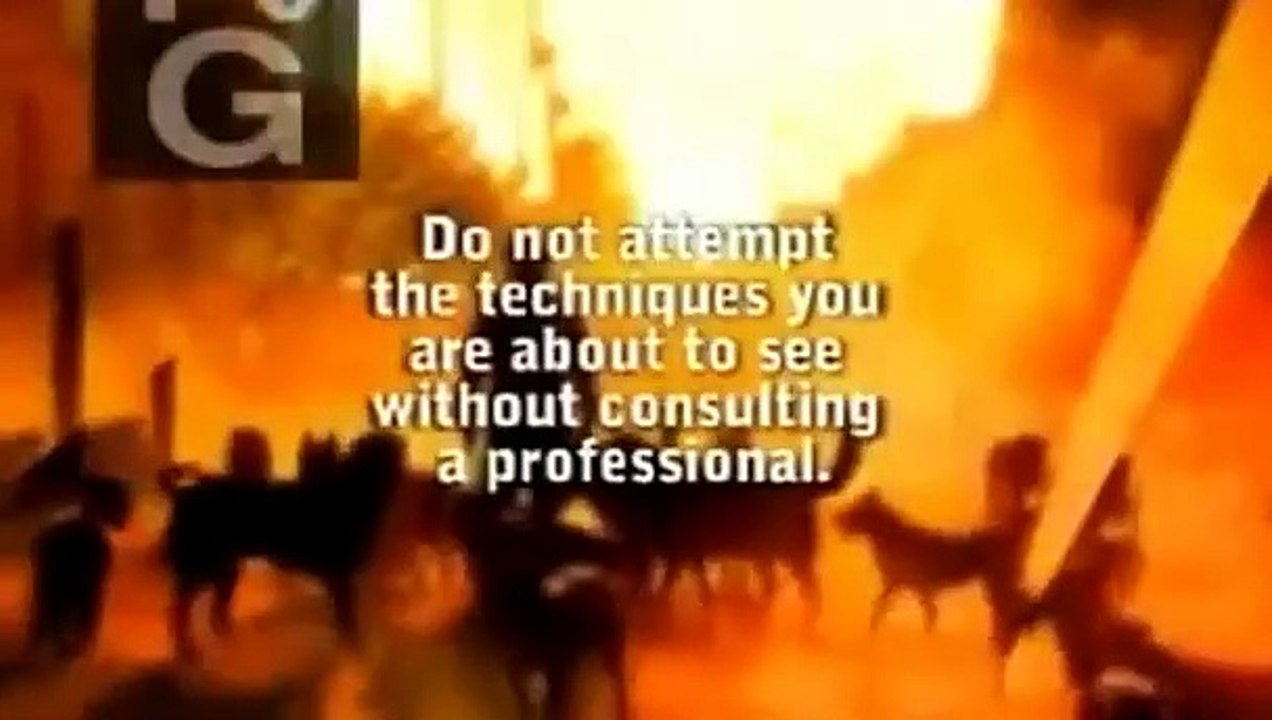 Dog Whisperer with Cesar Millan - Se5 - Ep04 HD Watch