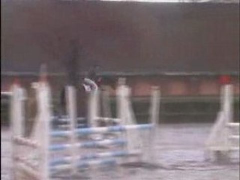 Cloé & Moogly CL2 16/03/08 Sheva