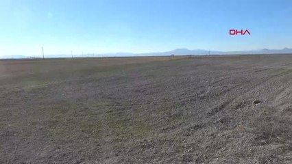 KONYA OVASI'NIN 3'TE 2'SİNDE 'KURAKLIK' HASARI