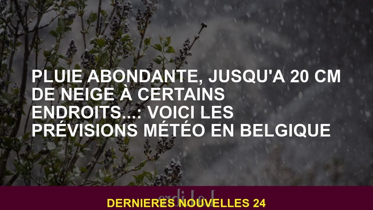 Pluie abondante, jusqu'à 20 cm de neige à certains endroits ...: Voici les prévisions météorologique
