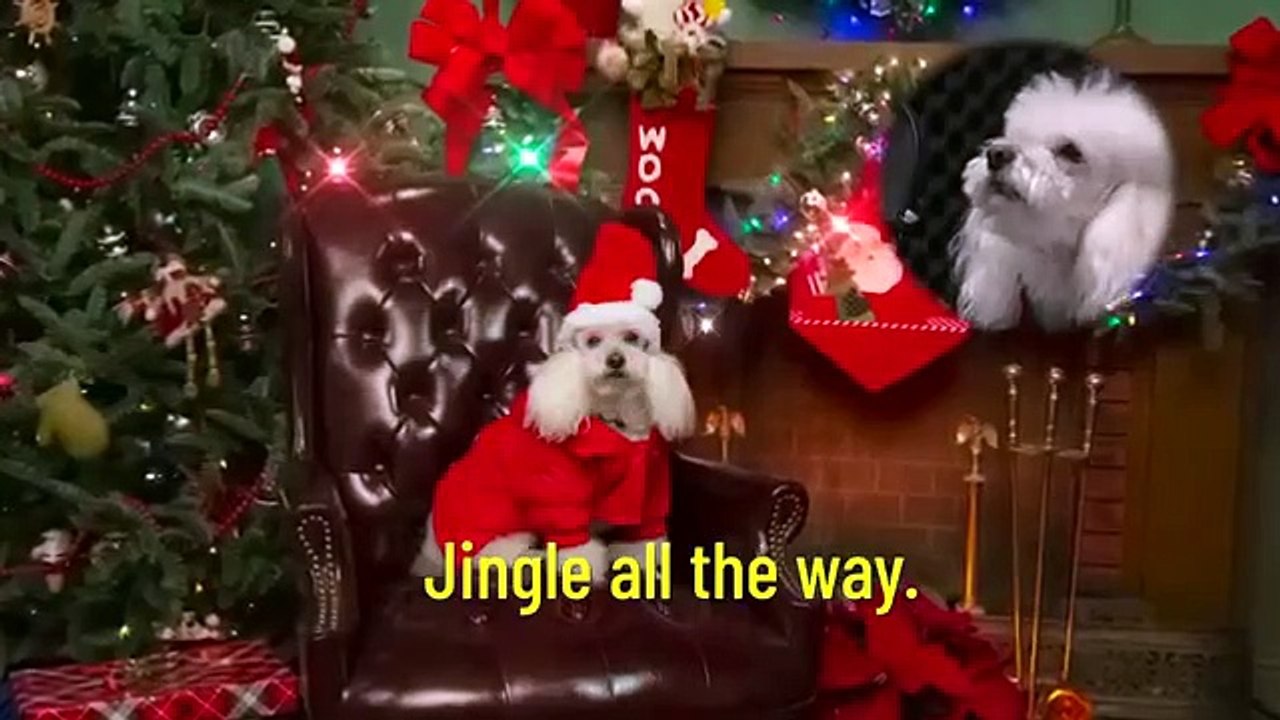 Conan - Se9 - Ep120 - Ron Funches HD Watch