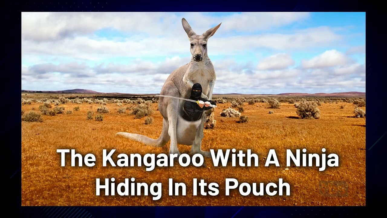 Conan - Se9 - Ep13 - Daniel Radcliffe HD Watch