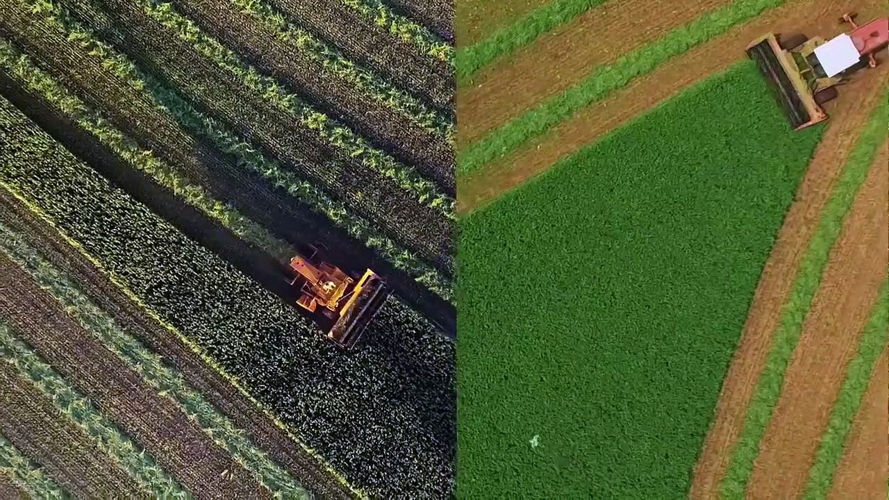 Dead Silent - Se4 - Ep04 - The Red River HD Watch