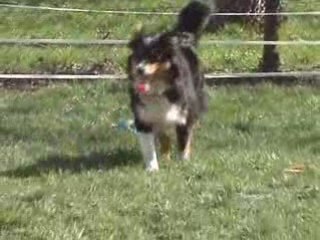 Nouveaux jouets suite