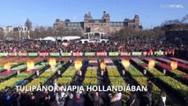 Tulipánok napja Hollandiában