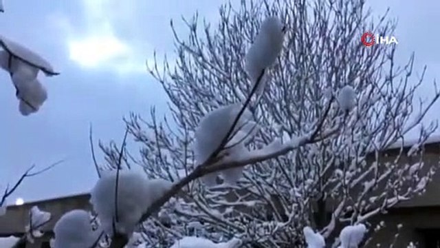 Pakistan'da acil durum ilan edildi! Kar esareti yaşanıyor