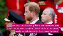 Mémoires du prince Harry : l’ouvrage a fait bondir les ventes d’un produit de beauté pour une raison farfelue