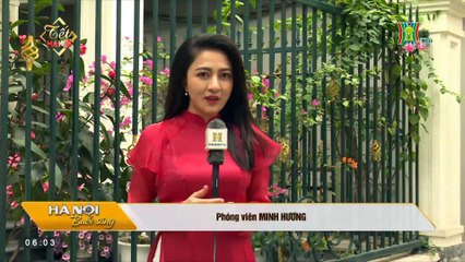 Xông đất đầu năm khách sạn mèo đầu tiên tại Hà Nội