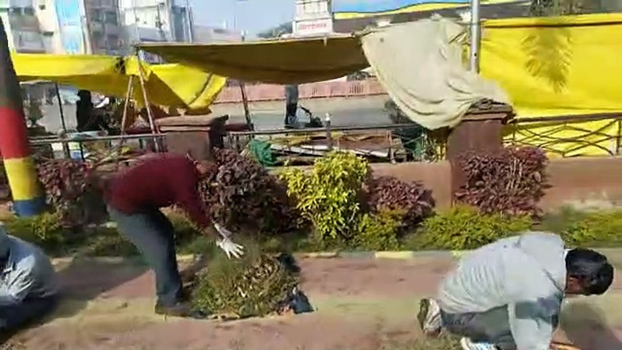 नीमच में पर्यावरण प्रेमी कर रहे वो काम जो बन रही नजीर