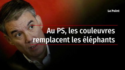 Au PS, les couleuvres remplacent les éléphants
