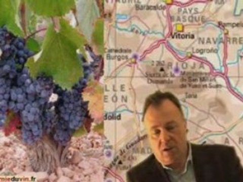 Les vins d'Espagne : cours académie du vin
