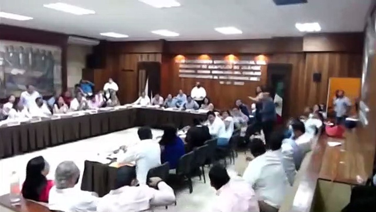 Une famille de ratons laveurs débarque en plein conseil municipal...