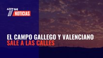 El campo gallego y valenciano sale a las calles contra el abuso de los parques de molinos eólicos