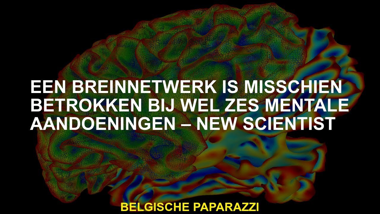 Eén Breinnetwerk kan betrokken zijn bij zes psychische stoornissen - nieuwe wetenschapper