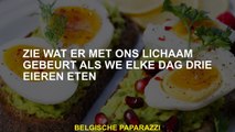 Kijk wat er met ons lichaam gebeurt als we elke dag drie eieren eten